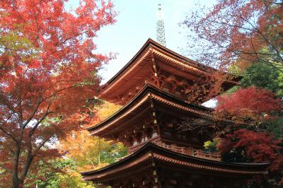 浄瑠璃寺の紅葉　京都府木津川市の浄瑠璃寺の見事な紅葉