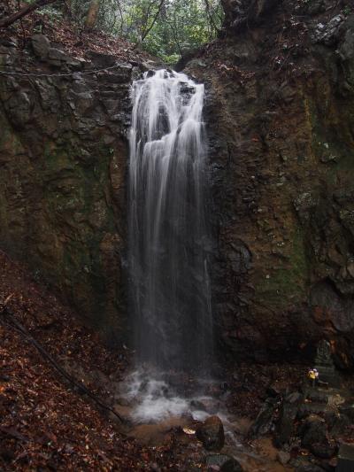 新潟の旅　滝だ、紅葉だ、温泉だ（３）　滝メグラーが行く１７０　三面川河口にある不動滝