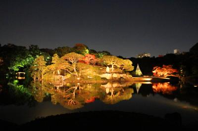 霜月の夜はシンメトリー♪過ぎゆく秋・和の饗宴を見逃すな！【旧古河庭園・六義園】