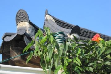 2012初秋、韓国旅行記25(6/20)：9月19日(5)：安東、丹陽から安東へ、世界遺産の安東河回村、案山子