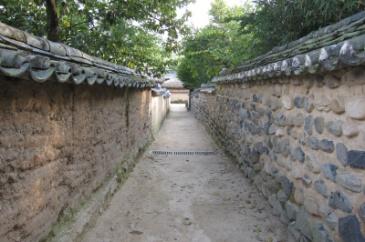 2012初秋、韓国旅行記25(8/20)：9月19日(7)：安東、安東河回村、鶏頭の花、樹齢600年余の欅　