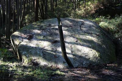 柳生の里からいつもの京都へ（一日目）～徳川将軍家の兵法指南役となり、柳生新陰流の地位を確立した柳生宗矩に思いを馳せ、締めくくりは泣く子も黙る正倉院展です～