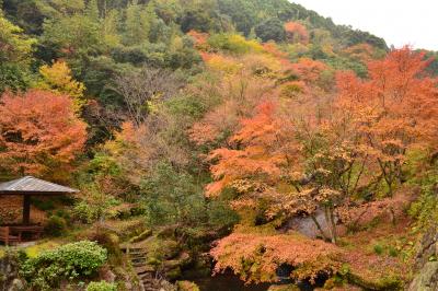 ぶらり山歩き