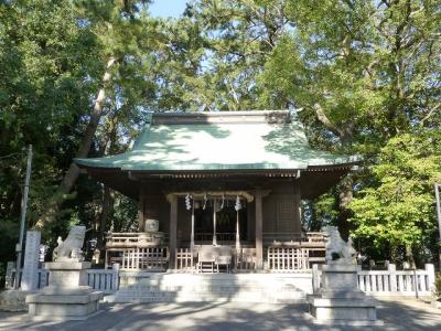 興津で途中下車で薄寒桜の木探し