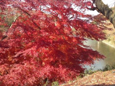 郡山からの五色沼と袋田の滝！