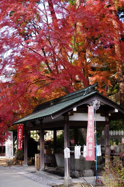 四国霊場　根香寺と白峯寺の紅葉