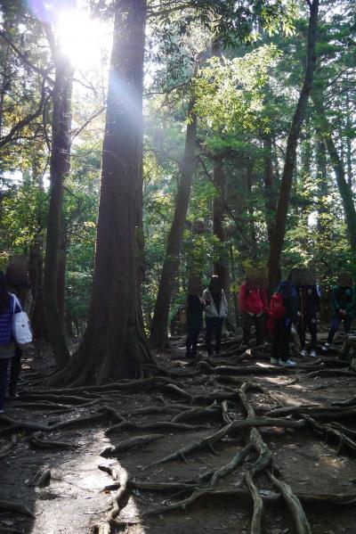 鞍馬から貴船までのハイキング~女子会の4日後~