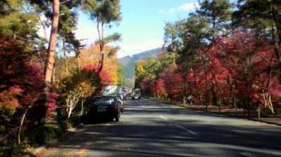 地元をふらりと紅葉見物