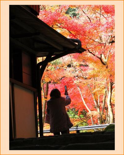 Solitary Journey［1294］鮮やかな色づき♪龍野公園・聚遠亭御涼所と庭園の紅葉＜岡山県閑谷・兵庫県龍野への車旅＞岡山県備前市