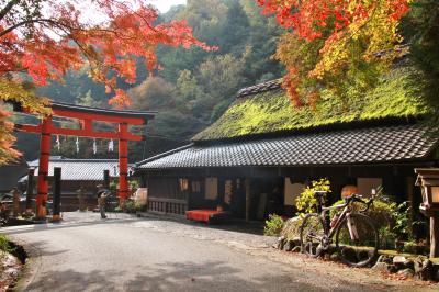 カメラと散歩　京都①　嵯峨野