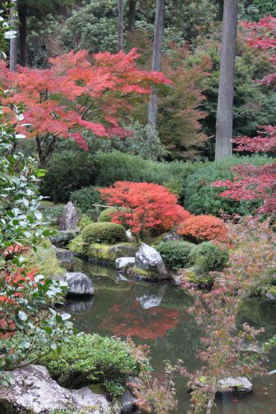 2013　秋の京都に美術と紅葉を求めて　No2/2　三室戸寺