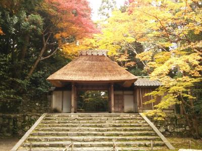 京都 紅葉めぐり