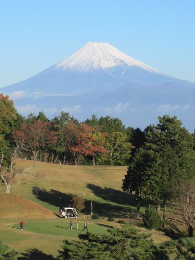 富士山が綺麗でした。