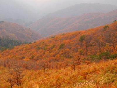 深入山に登った。【紅葉】