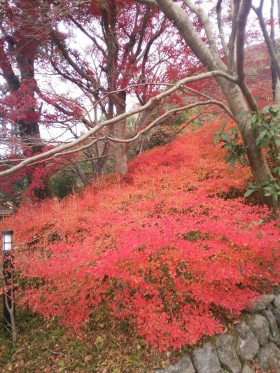 晩秋の出雲神社と南丹市の古民家ギャラリー