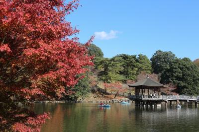 きれいな紅葉見たい、いい食事食べたい＠奈良・京都編～1日目～