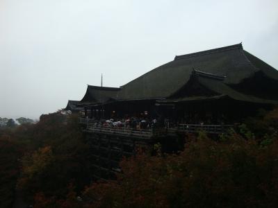 紅葉し始めの雨の京都　　初めて人力車にのっちゃったあ！！