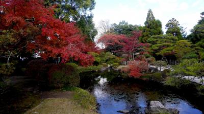 2013.11久留米とんぼがえり2-寺町散歩2：西方寺から徳雲寺　遍照院庭園