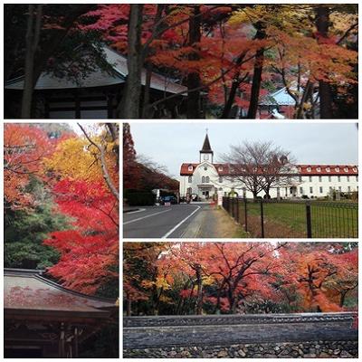 名古屋近郊の古刹紅葉（虎渓山・応夢山）