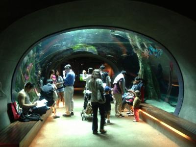 リフレッシュ休憩でアメリカ満喫!3