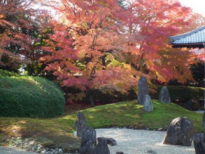 京都の紅葉　第四弾　落葉の始まり！2013年