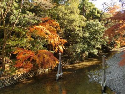 伊勢神宮（'13紅葉狩り）