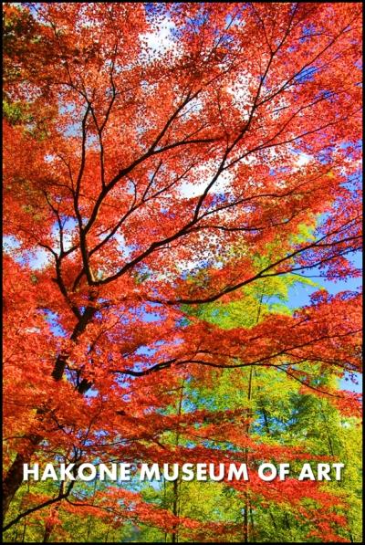 【富士山と紅葉 Vol.2】 鮮やかすぎて、じぇじぇじぇ!箱根美術館から御殿場に行くなら、今でしょ!!