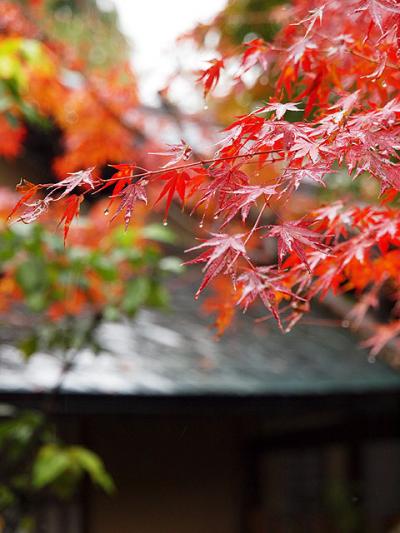 京都の紅葉めぐり（と、食べ物たち）