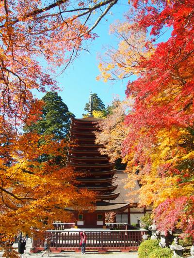 紅葉の奈良　談山神社～奈良公園