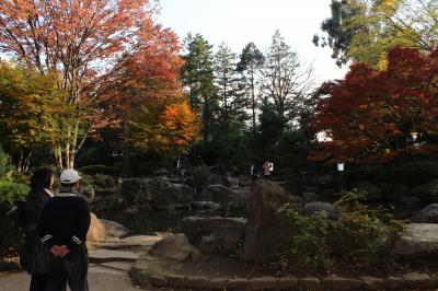 2013年秋　埼玉県立北浦和公園を散策