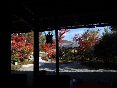 ２０１３・初冬・岐阜市北部で紅葉狩り☆山茶林泉＆伊自良湖畔