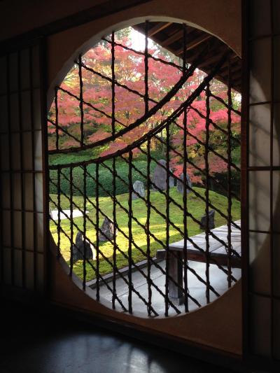 京都 紅葉真っ盛り 2013(弾丸三都物語)