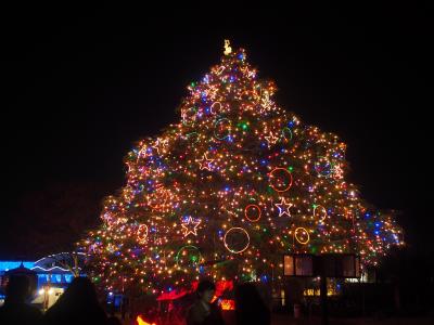 クリスマスツリーに灯りがつく＠中山競馬場