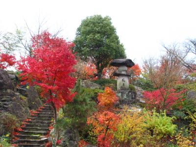 2013年　福岡市内　原鶴温泉・ビューホテル平成