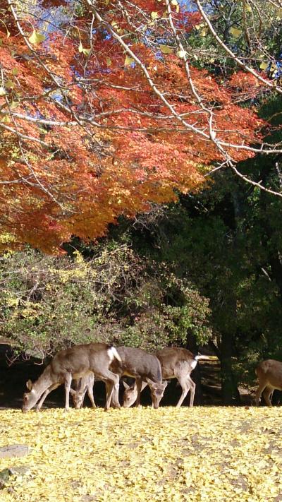 アートな秋の日　奈良へ