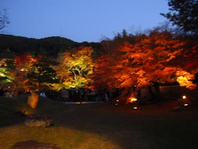 京都の紅葉