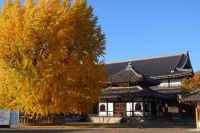秋の京都①