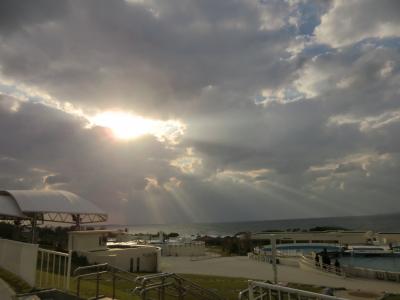 １泊2日弾丸沖縄　目的は美ら海水族館！！