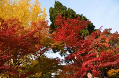 2013・京都の紅葉を見に行く　　1