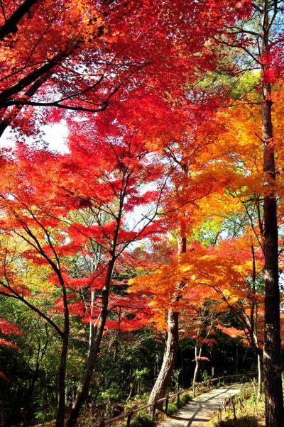 2013 明治村（7）  紅葉を愛でながら博物館明治村散策 