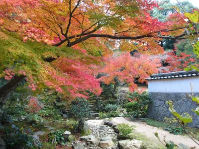 2013年　山口県・下関　長府紅葉散歩と長府毛利邸の観光