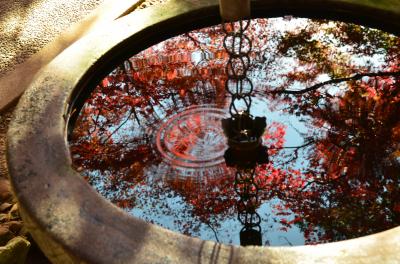 鎌倉紅葉散歩 ～天園ハイキングコースを歩いて見つけた紅葉の穴場～　　２０１３秋