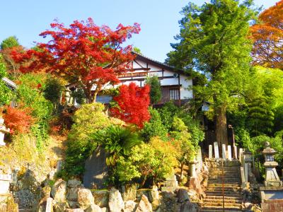 東大寺・大仏殿・２月堂周辺をブラブラする！