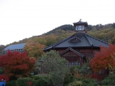 明治村の紅葉（2013年11月）