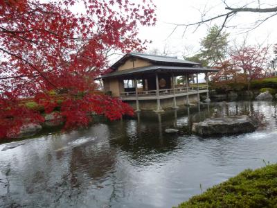 滋賀と福井の紅葉を求めて③　鯖江　西山公園の紅葉