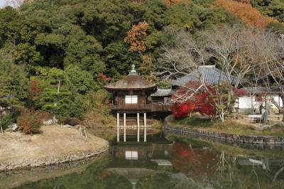 和歌山　岩出　根来寺の紅葉を訪ねて