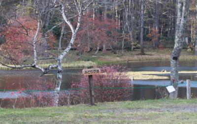 秋の戸隠高原散策 [2013](1)　戸隠植物園編