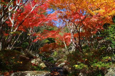 晩秋の三原の風物詩を撮る旅（その2、紅葉の名所巡り）