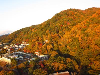 秋の日本へ3★神戸★オレンジ色の六甲山に感動