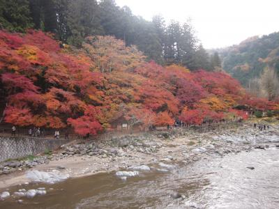 やっぱり香嵐渓の紅葉は東海一